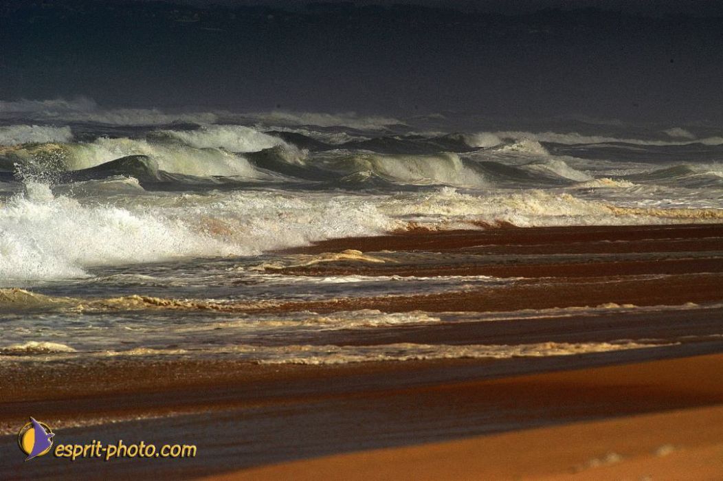 Nom de l'image : EP08-0349_(c)Norbert-JUNG — Description :